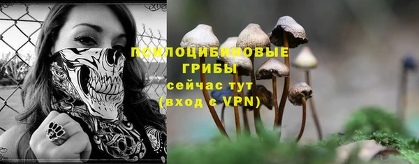 Альфа ПВП Алзамай