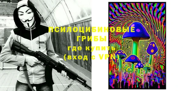 Альфа ПВП Алзамай