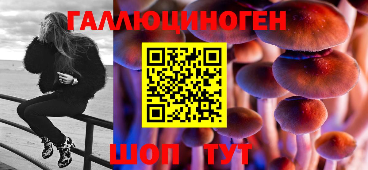 Камышин  Псилоцибиновые грибы Magic Shrooms  Вход с VPN  Псилоцибиновые грибы мухоморы 